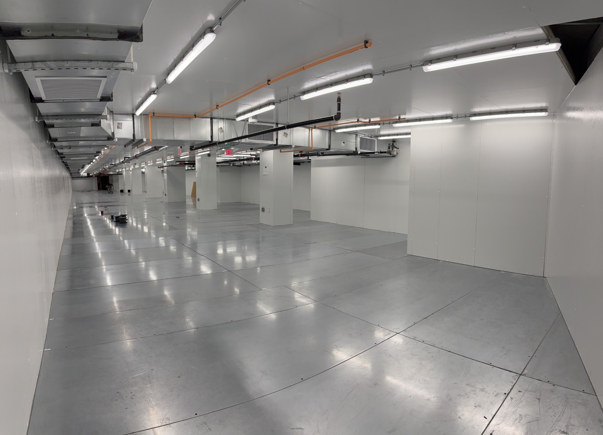 Smithsonian project — installation photograph 4