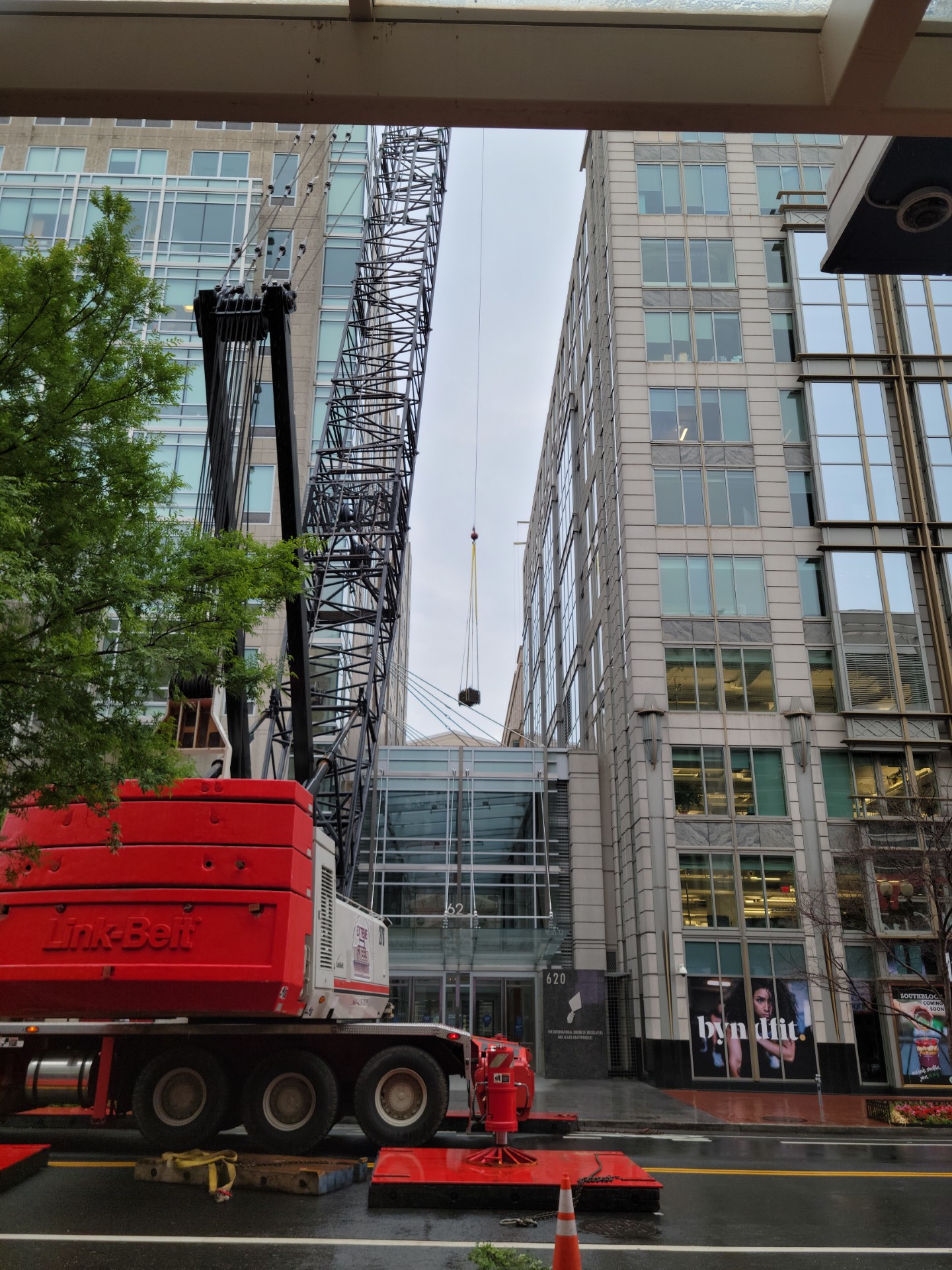 Smithsonian project — installation photograph 3